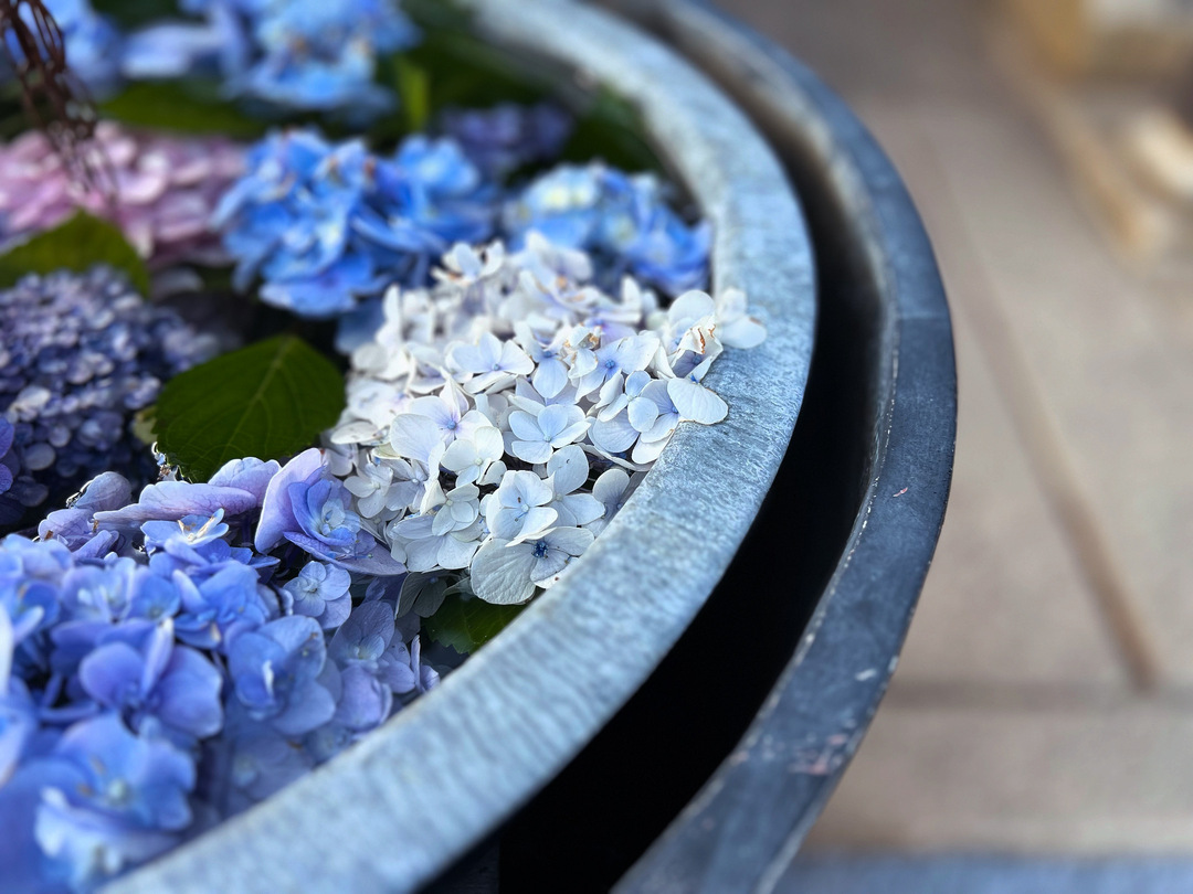 Thumb 14b2dbbf dedb 40e9 ada4 267f2b63e5a3