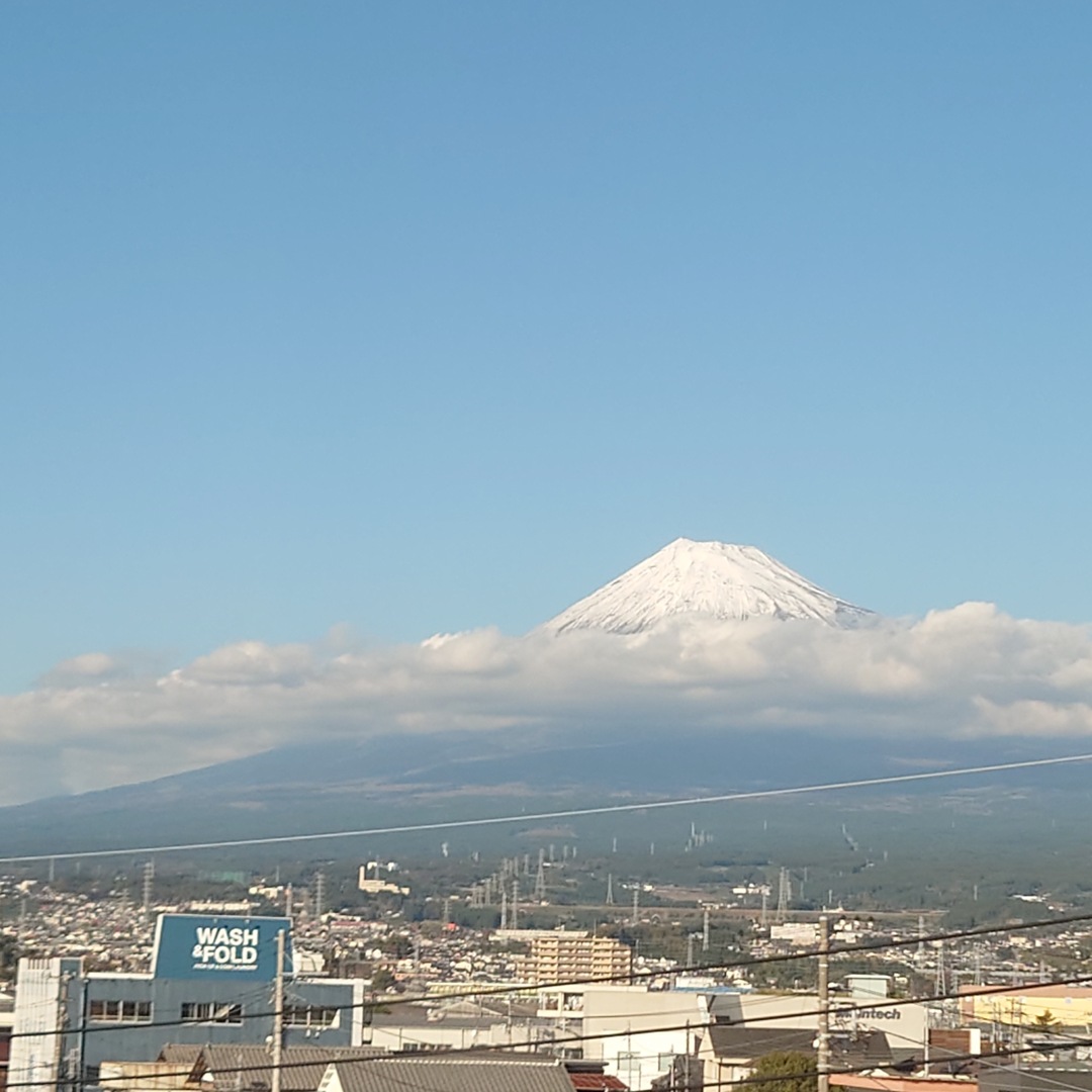 Thumb ea34f63b d696 476c a6a8 f87f0ec71cd6