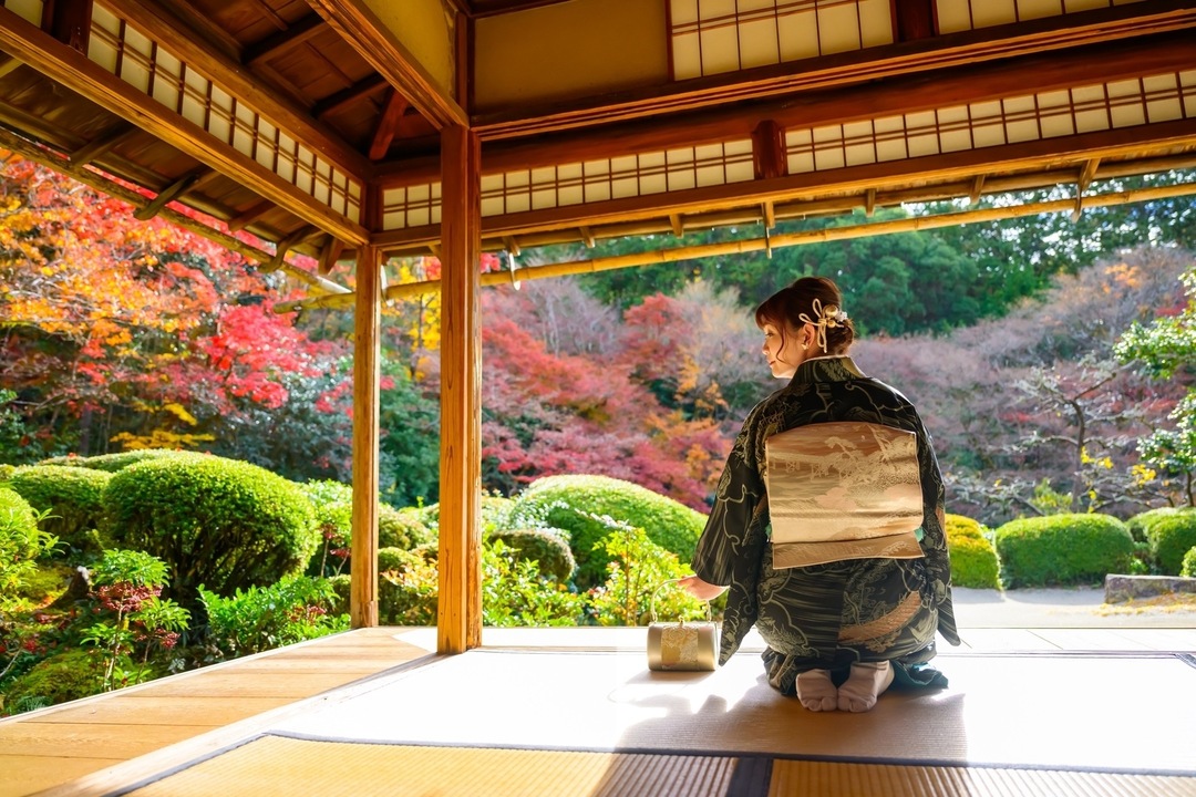 Thumb c7bdf11d 757c 4353 b318 69a8852914a2