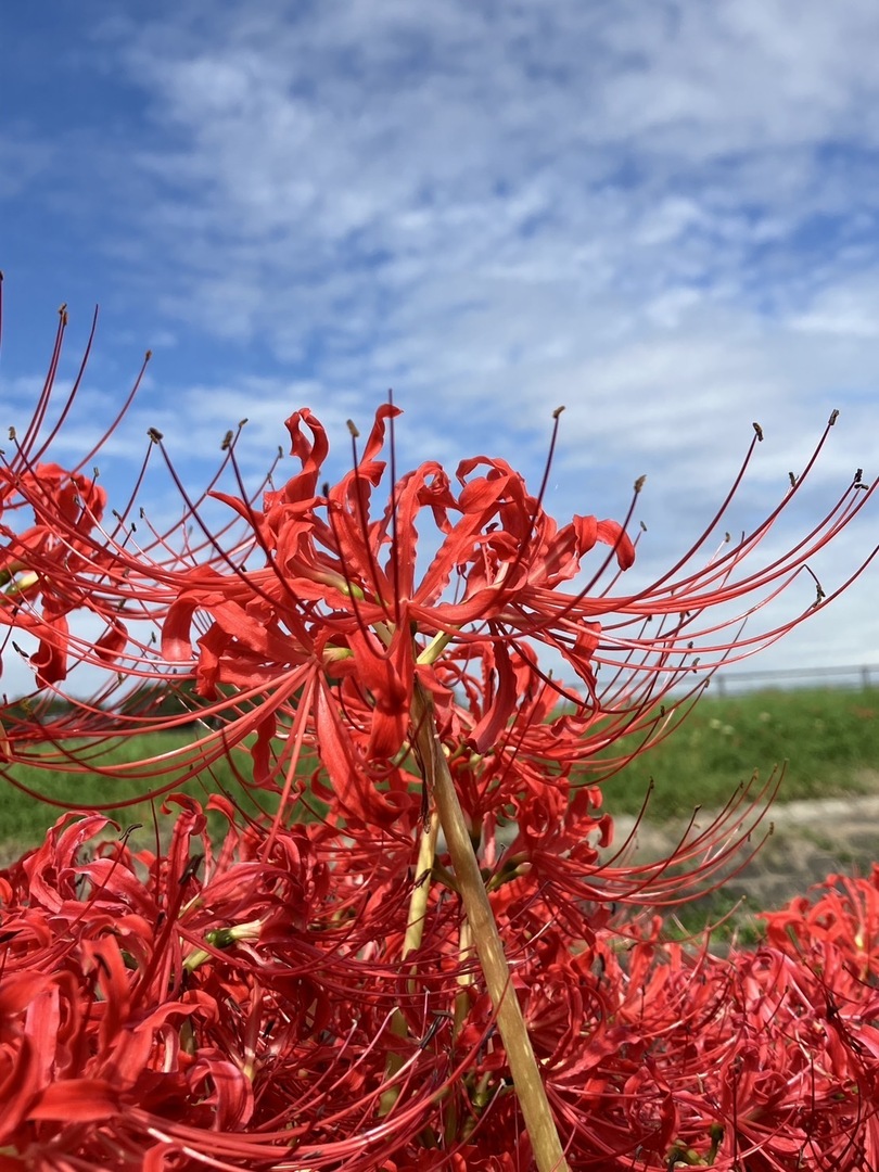 Thumb 8463cc9e 40bf 4468 9ee3 c504fff09212