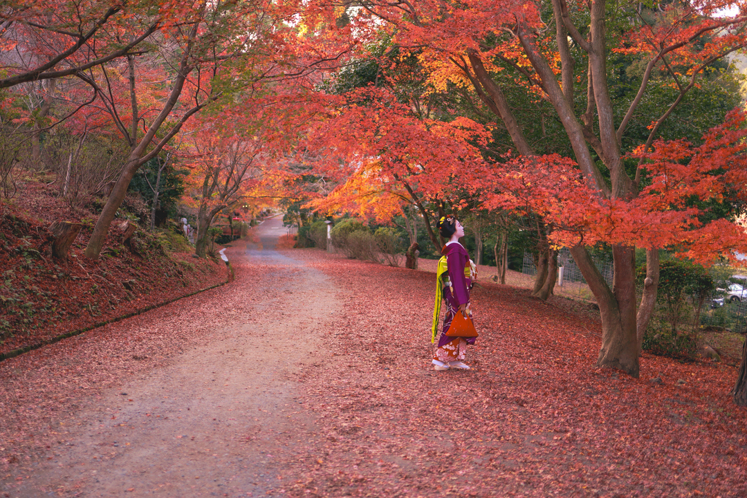 Thumb a0714593 0bbe 4edf b4f6 e6cbf24e5408