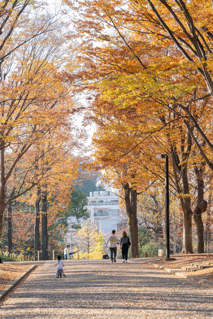 Thumb 55473e34 d60a 4db4 86eb 7496cdec4be2