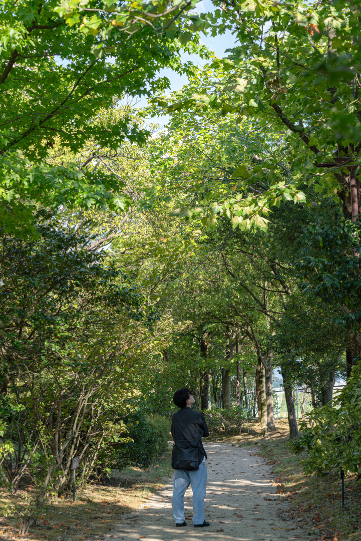 Thumb e16c3f24 ddd1 4c43 bd2e d84c1954f67b