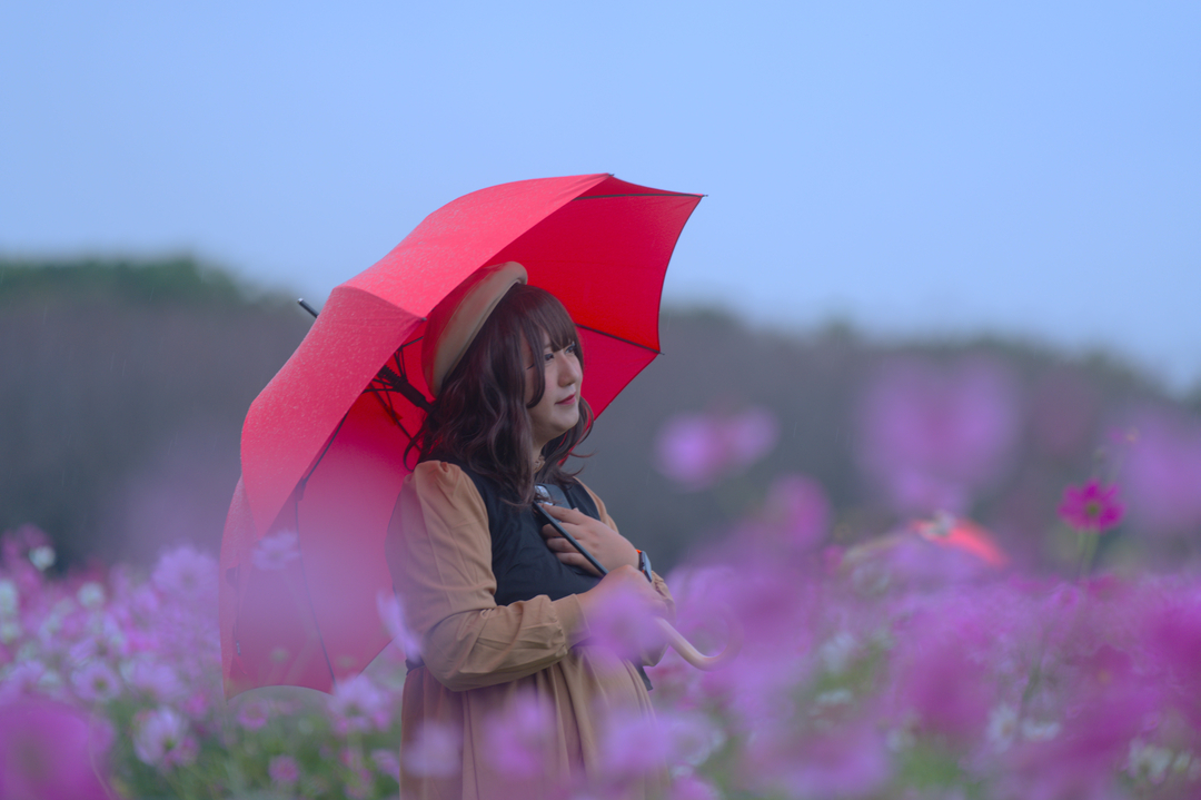 Thumb 793d80d0 667e 4f57 98b6 8f9105740c80