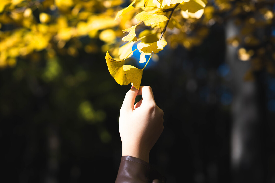 Thumb 2cfe41d9 0dfe 4cd5 9d54 0ffdff366c07