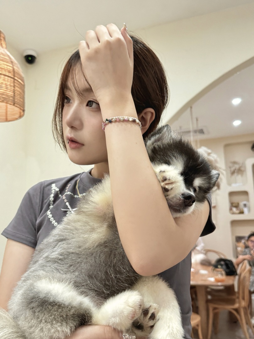 Thumb 7e48fad0 a3d8 4a13 990f 3ac9f729e42f