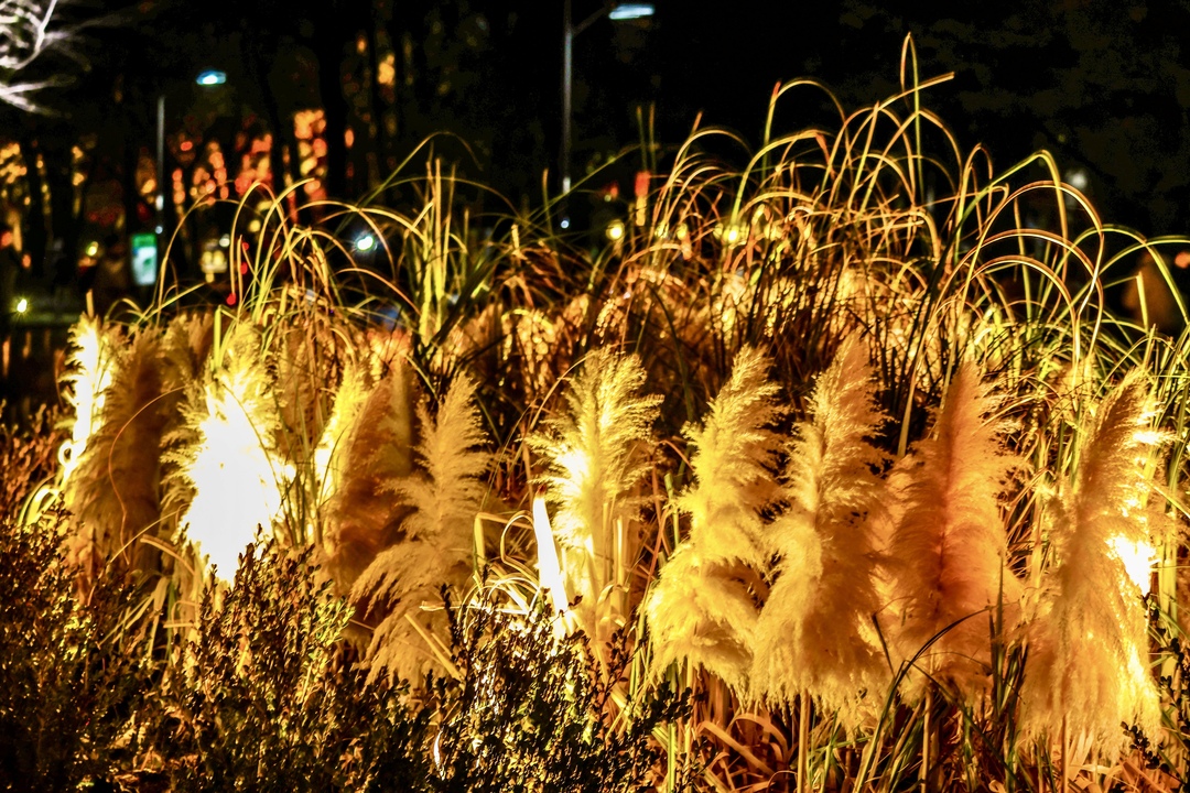 Thumb 6da2182f 1827 46eb b55f fa80ab57e19b