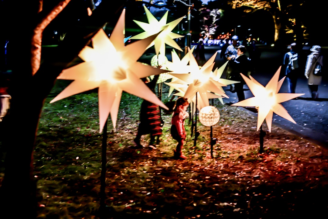 Thumb 259c8306 dde4 4bf3 9c35 7d11d77b366d