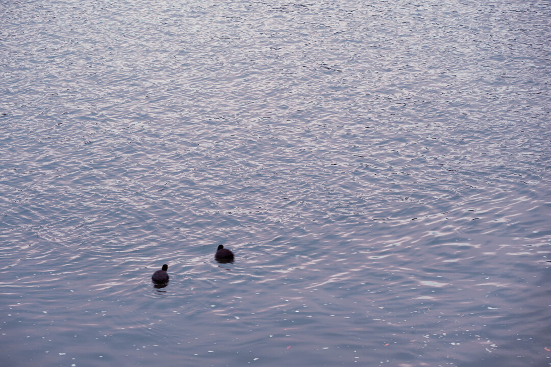 Thumb 0f17d106 9609 496b 8464 6372f8ea5b6d