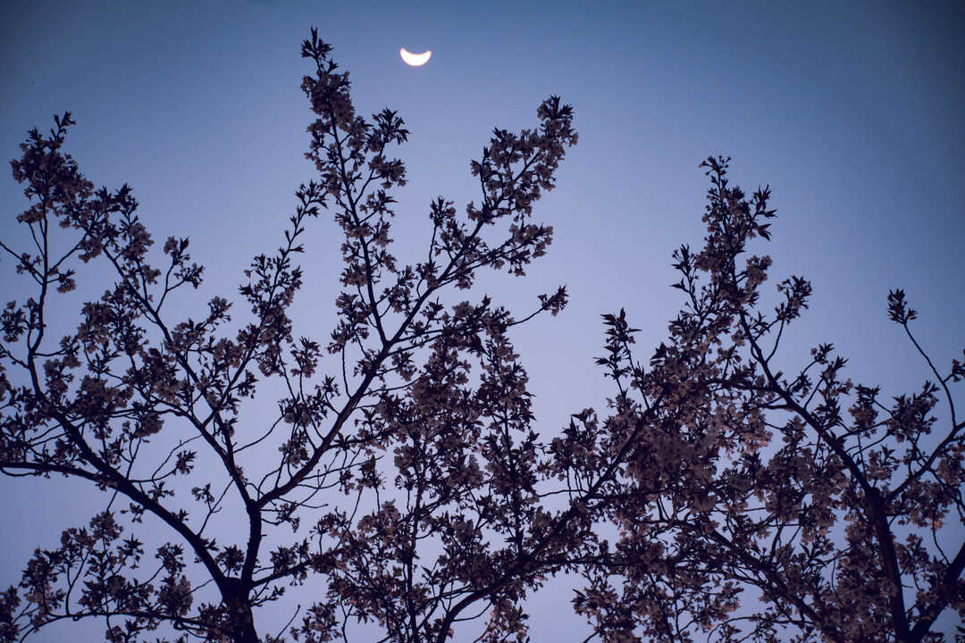 Thumb 9fcca0de 3f03 4f02 a133 ba583f280c14