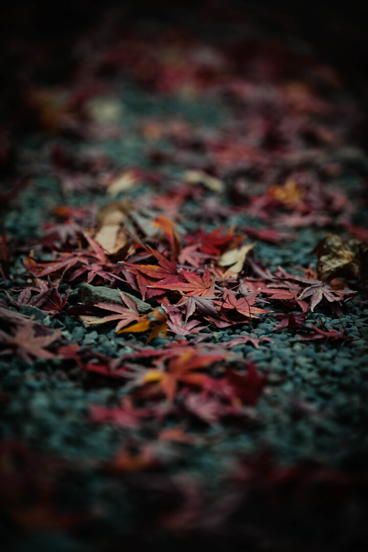 Thumb f0ca6d93 a11e 4b20 b2ae bc22dbc2efb7