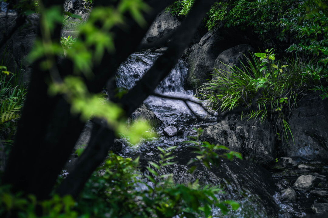 Thumb 5d55b5d3 e8af 45e9 a810 01bdfc342e17