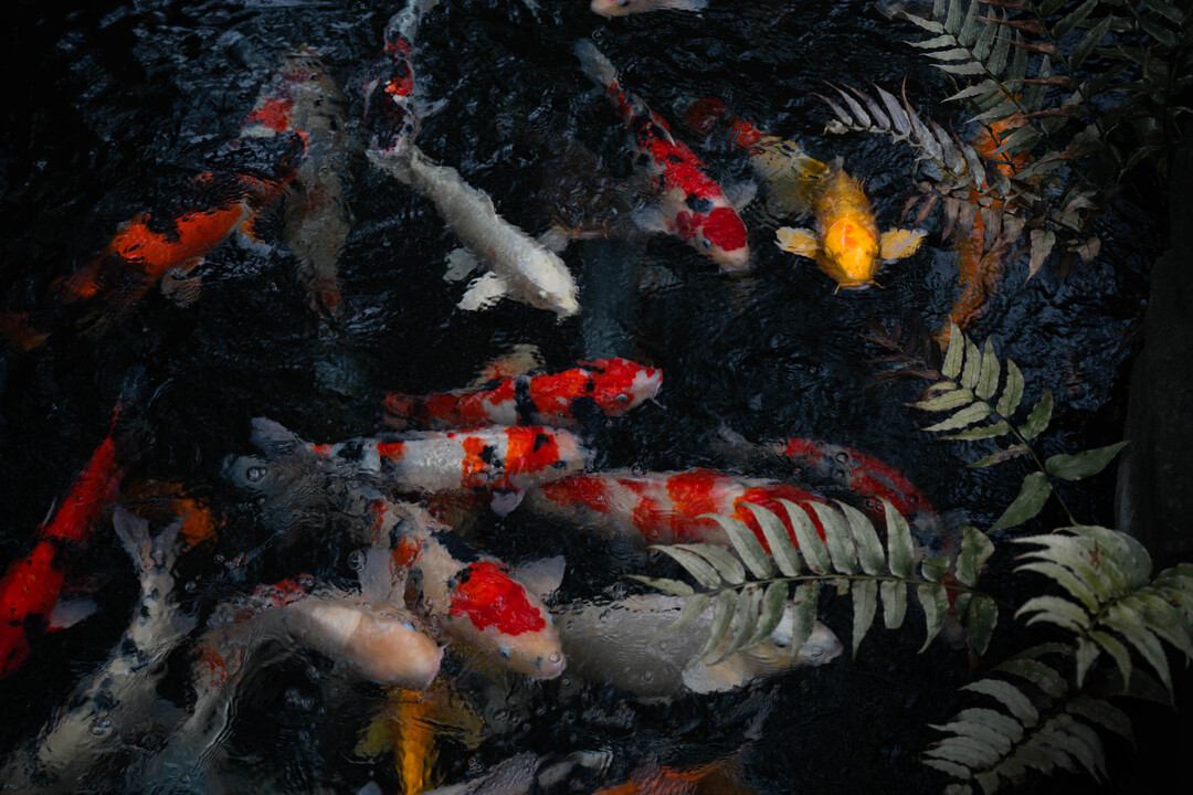 Thumb affdb303 58be 4d1f 8272 2d76e2390ce7