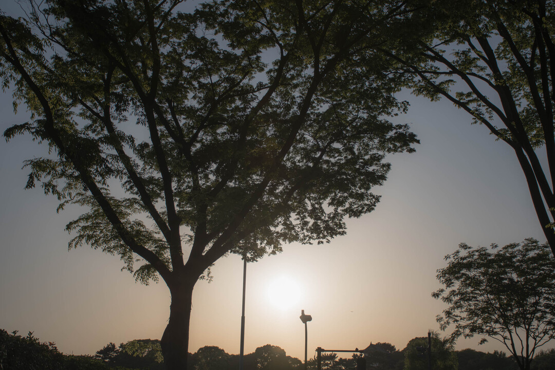 Thumb 6af93bcc 69d5 472a 95e8 f76ecc42fdbb