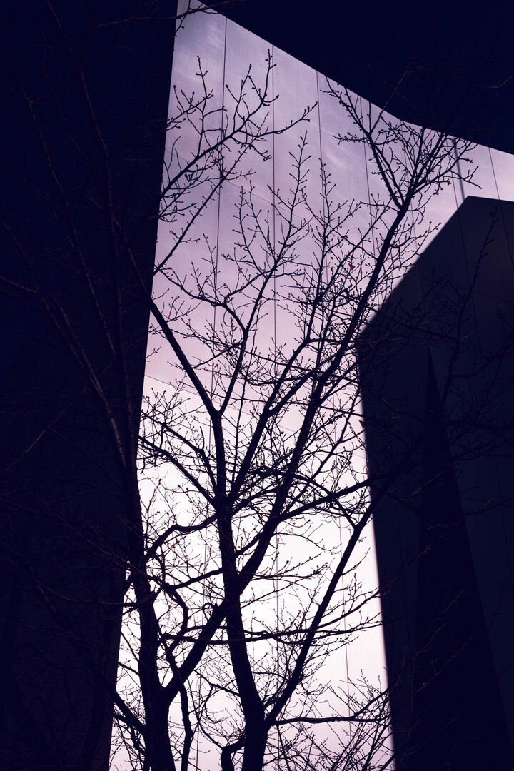 Thumb 9e784c78 2fc7 49be bcd7 edb33664dcde