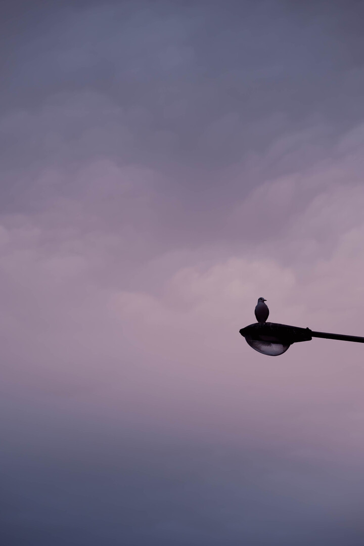 Thumb ca51f3cb 2e6b 4222 b5fa a9f02d446f66