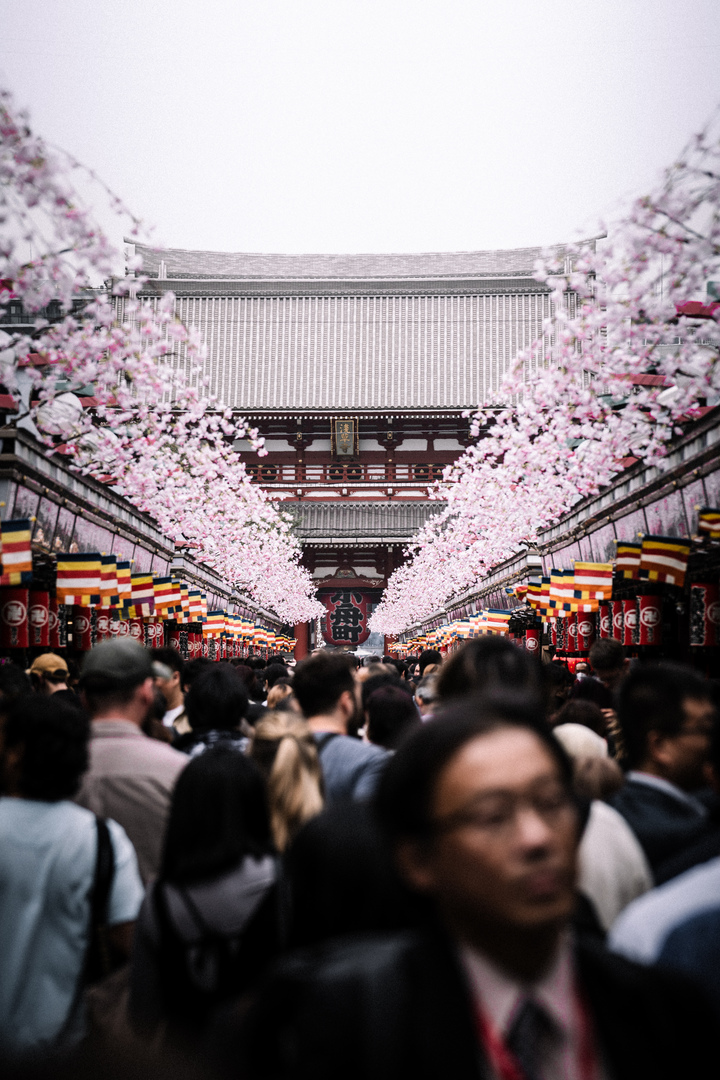 Thumb 2e30e013 de79 4c7a 8e31 ff3144befeab