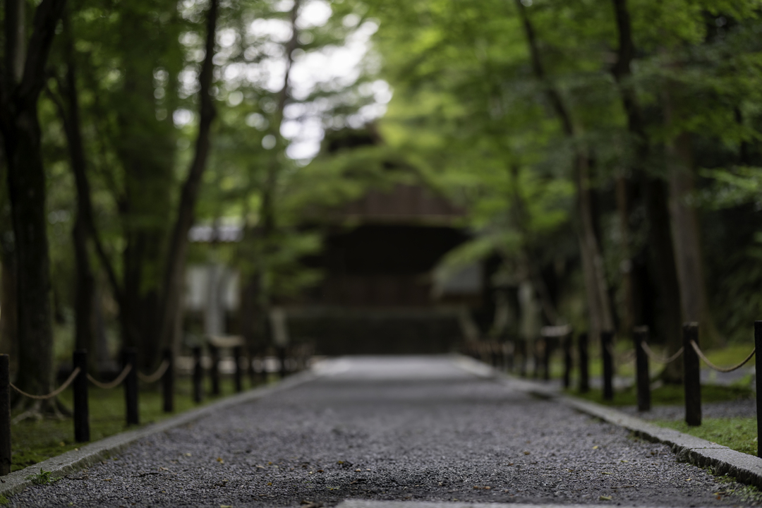 Thumb 8286aa1e 684d 4b6a b229 983163a762a1