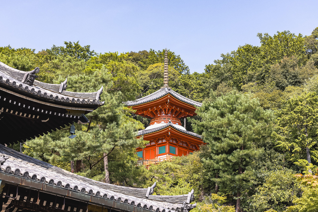 Thumb 847ecdda 0824 4231 a752 5f0aa1df9698