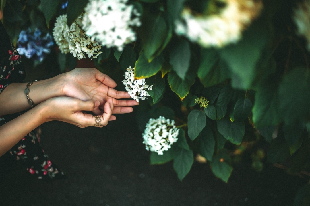 Thumb b3956d1b cf3e 412f ab46 18c54e5c6cec