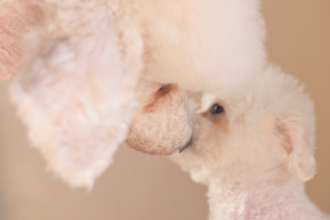 Thumb ae7a9766 fb9c 46fb 8ecf 239fef03ba75