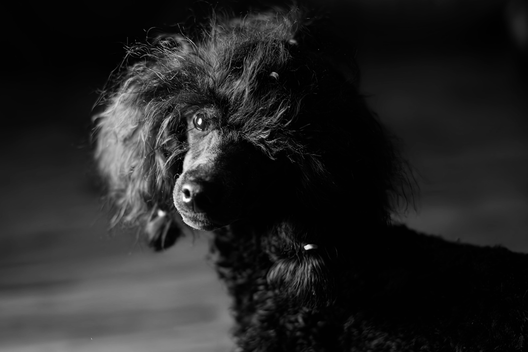 Thumb f90e09b5 b29d 4e16 a547 ab794fcbf20c