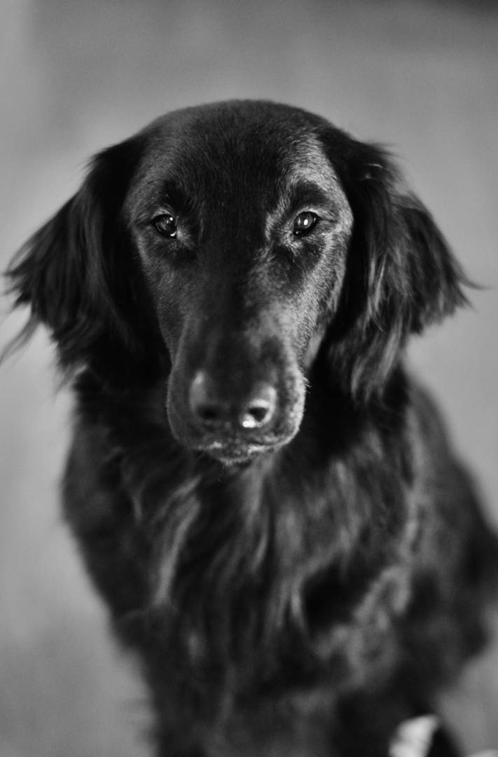 Thumb 730f6398 2b59 41fc af1c 423c1c345770