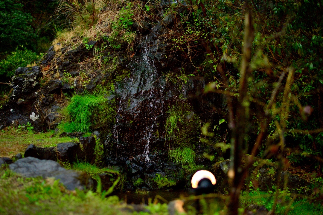 Thumb 5ada516d b87e 4729 ab06 3b84795cd5f7