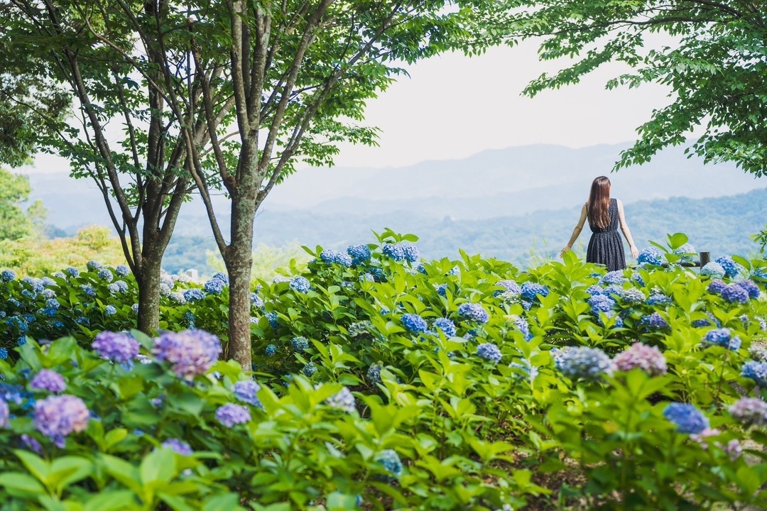 Thumb 11794777 17f5 4ac8 9586 66309aca011c