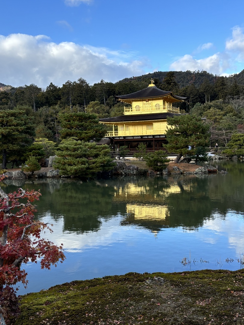 Thumb 1be2c555 36c2 436f b93d 7c7a58955a20