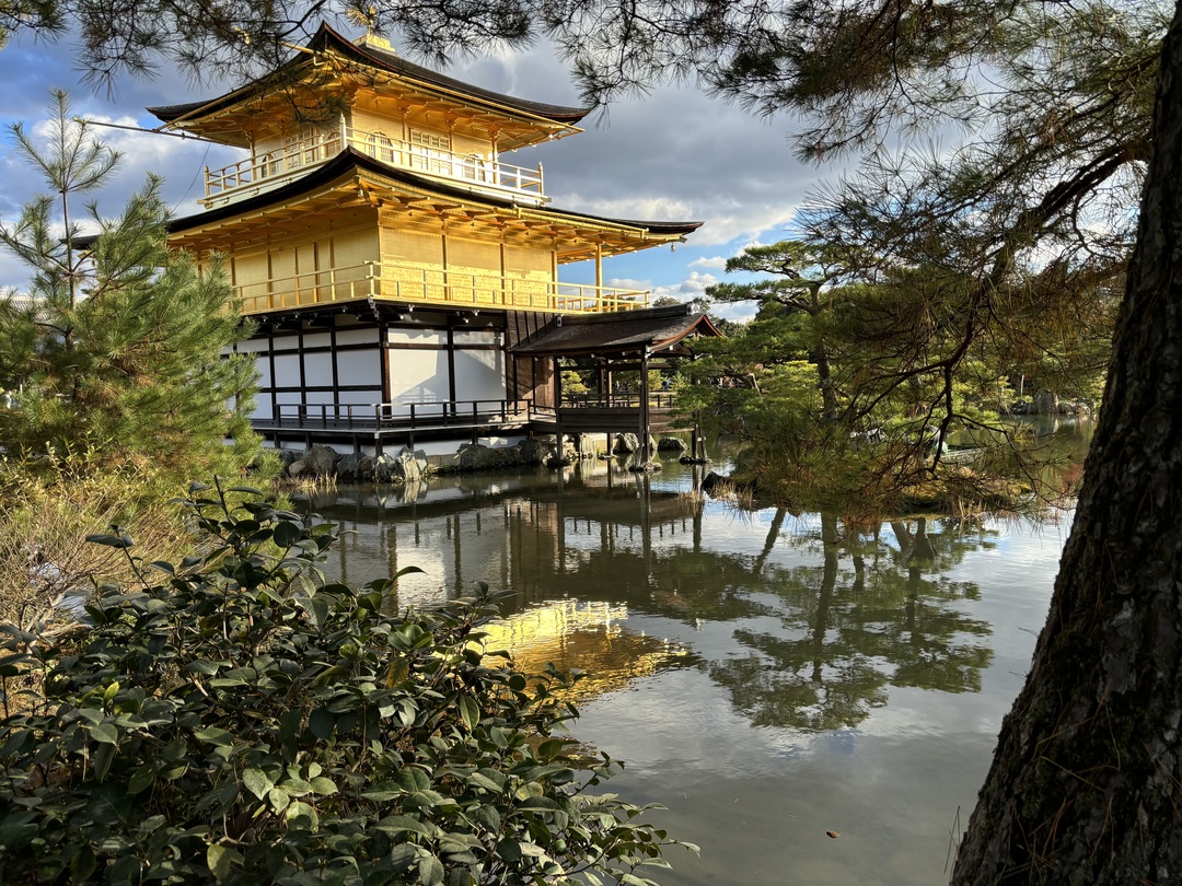 Thumb 76724dc1 d95e 48e7 8cc9 1ffa7241ee18