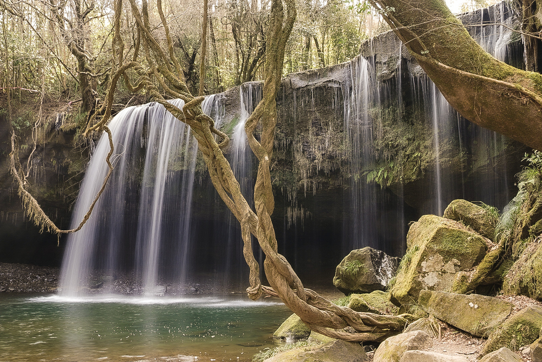 Thumb 4cf99bd0 5d3e 4b4a 8d52 aeac9a23cdb1