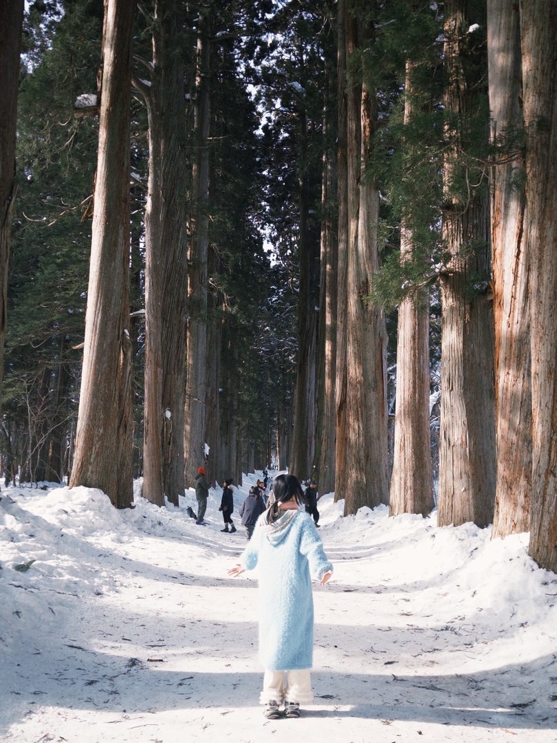 Thumb b9fc6084 d64a 460d b758 e637698f847e