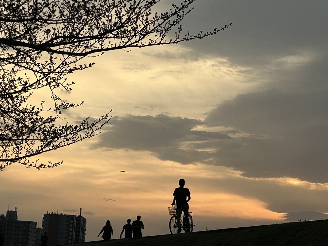 Thumb 35927398 bdb6 4c97 85c0 a8eb55aed734