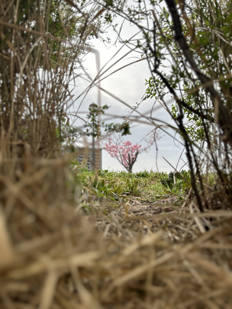 Thumb bc78a4fb 1032 4830 80a6 8e7c109c022d