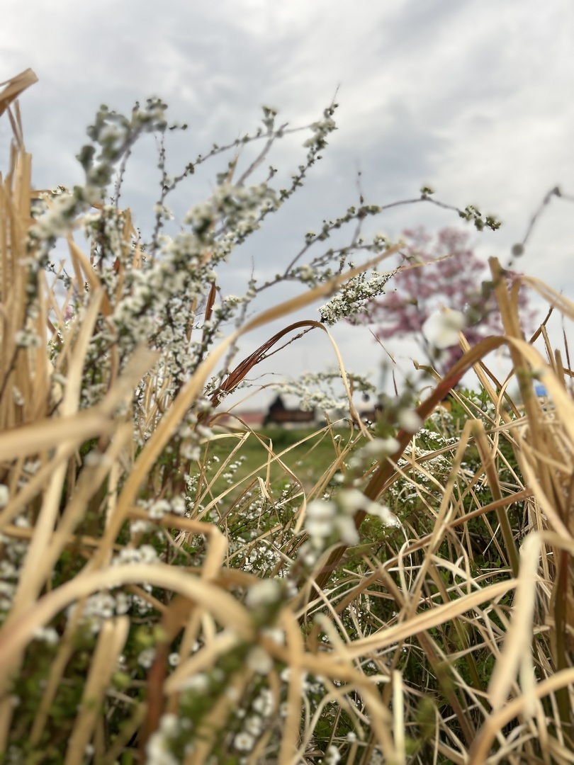 Thumb 11d0e0b7 3463 444a b6bb e0d797c50b41