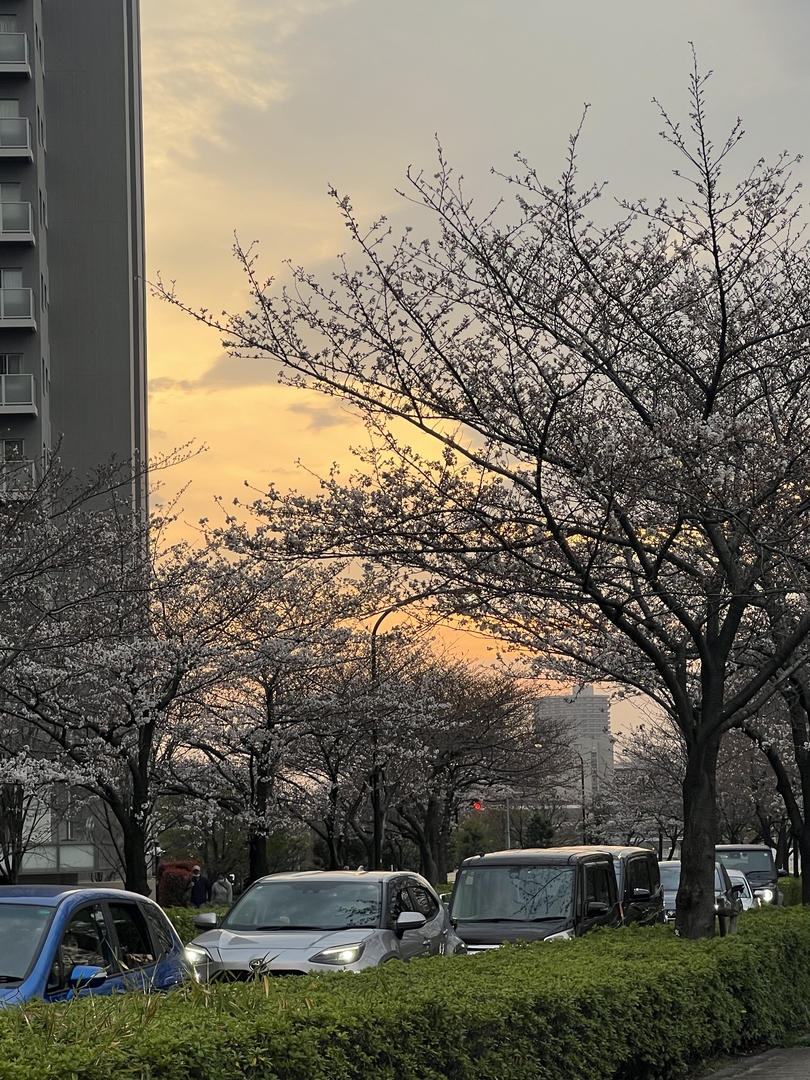 Thumb 46c8392a 601f 45af 9f83 b5456e3af0bf