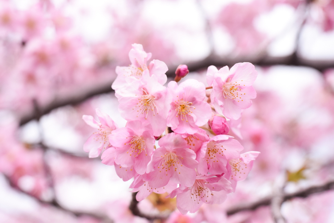 Thumb 0df9ae97 3a3d 4c66 9ec3 01ac93f99474