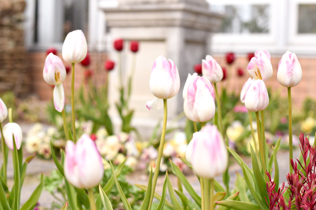 Thumb 5d794e4f f099 4cf5 b10b 5ca7bc1bc604