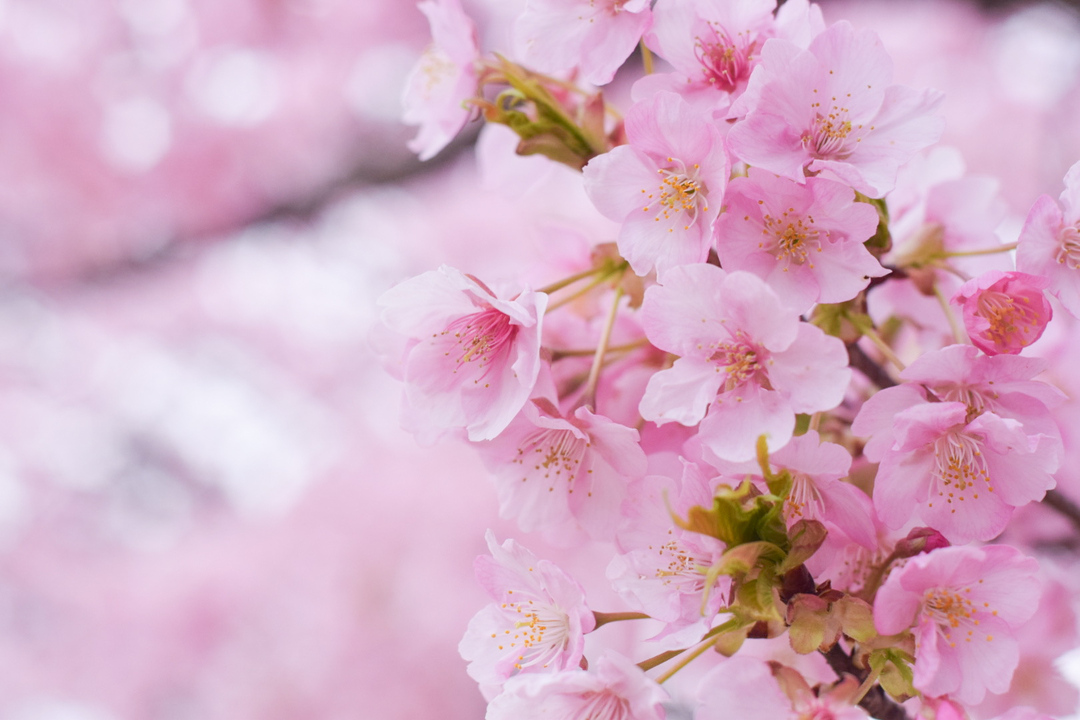 Thumb 8e01c6f5 91b6 46b4 ab58 350ade958d18