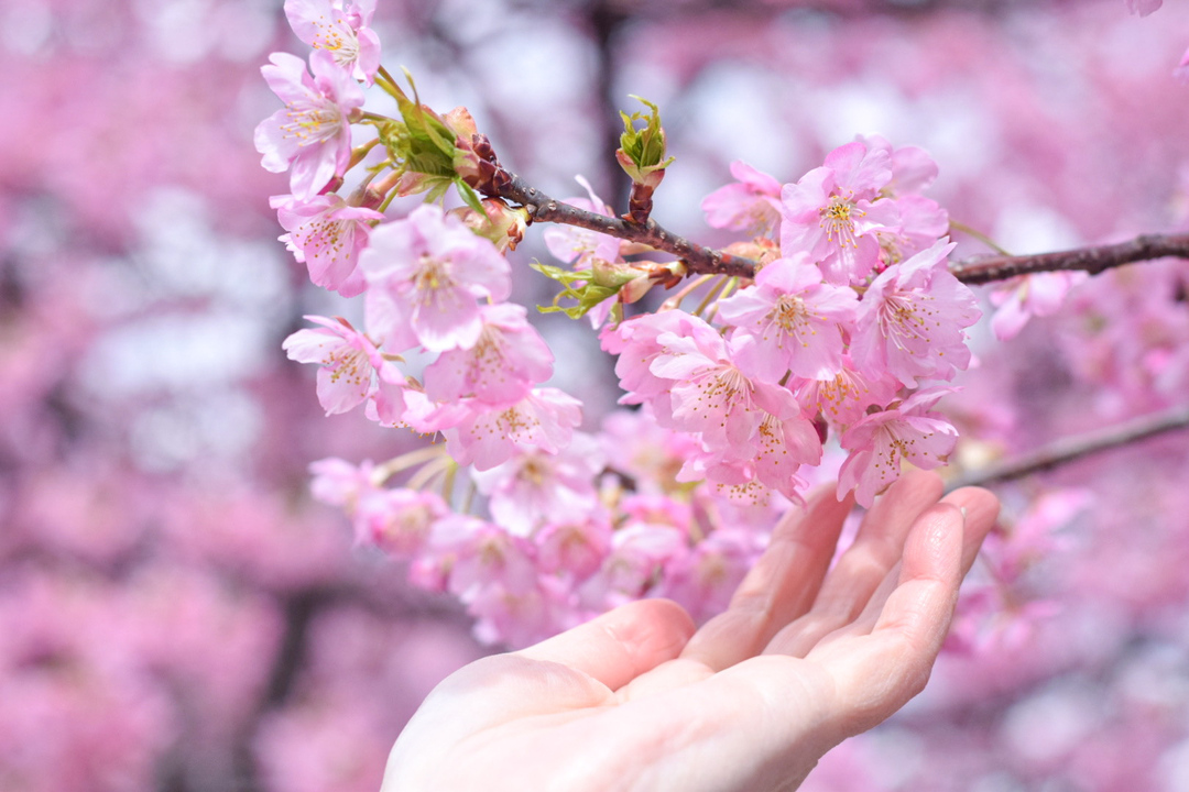 Thumb d0134a7d e2cf 4a87 8e5c cbea2d8d63d3