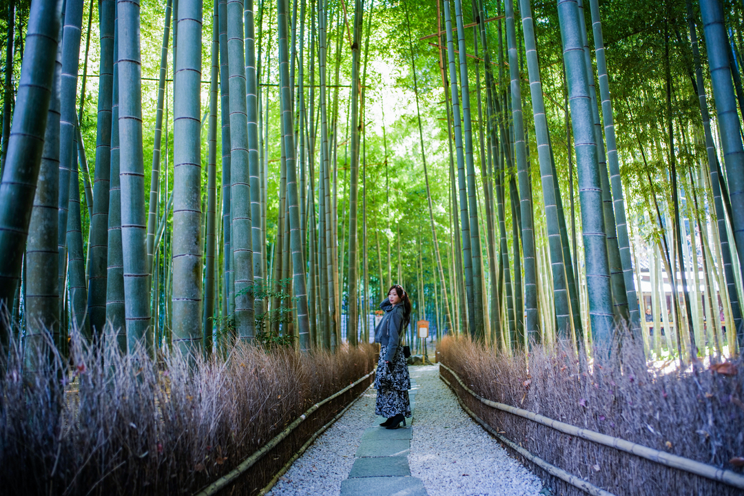 Thumb 0dc2bf7c d25a 4ae1 b8b2 5c150f0407a9