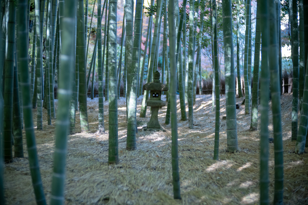 Thumb c01b4ccf a3ed 4ac0 bdee 8b74127d9dc6