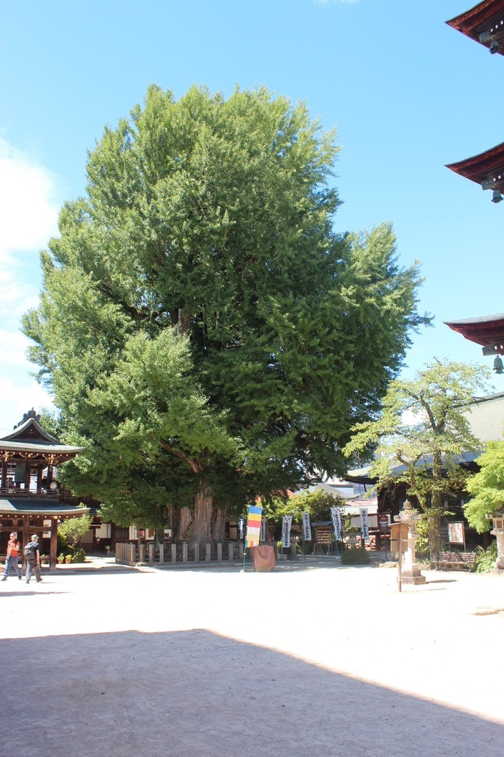 Thumb 4d65a805 4716 4c43 97c2 eed4e963e8ed