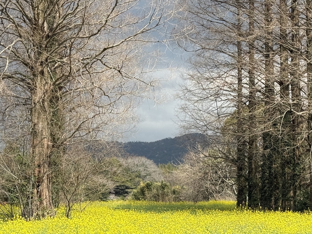 Thumb 20eeb7f1 948c 49f2 ba2a 43dbb53c9692