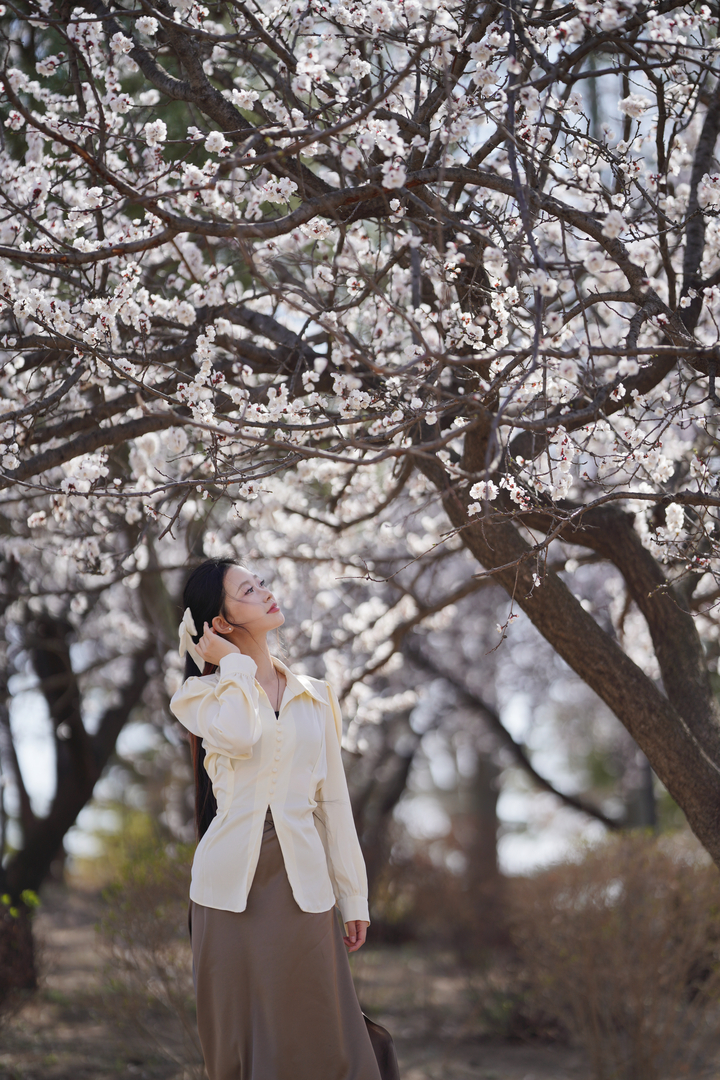 Thumb 0314e243 f990 4cae 9bfa 8b54f38b4e8e