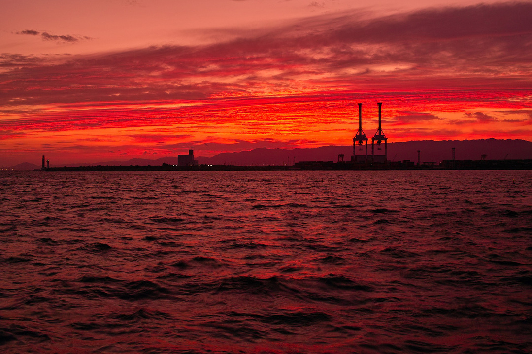 Thumb 8961dd8e a896 474d 9354 716c79fc156e