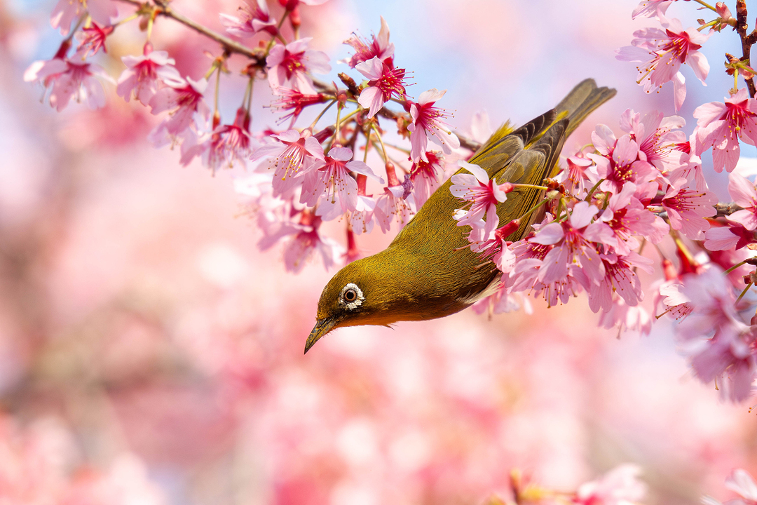 Thumb 49fe31c7 4064 43f6 a357 3741dd33327d