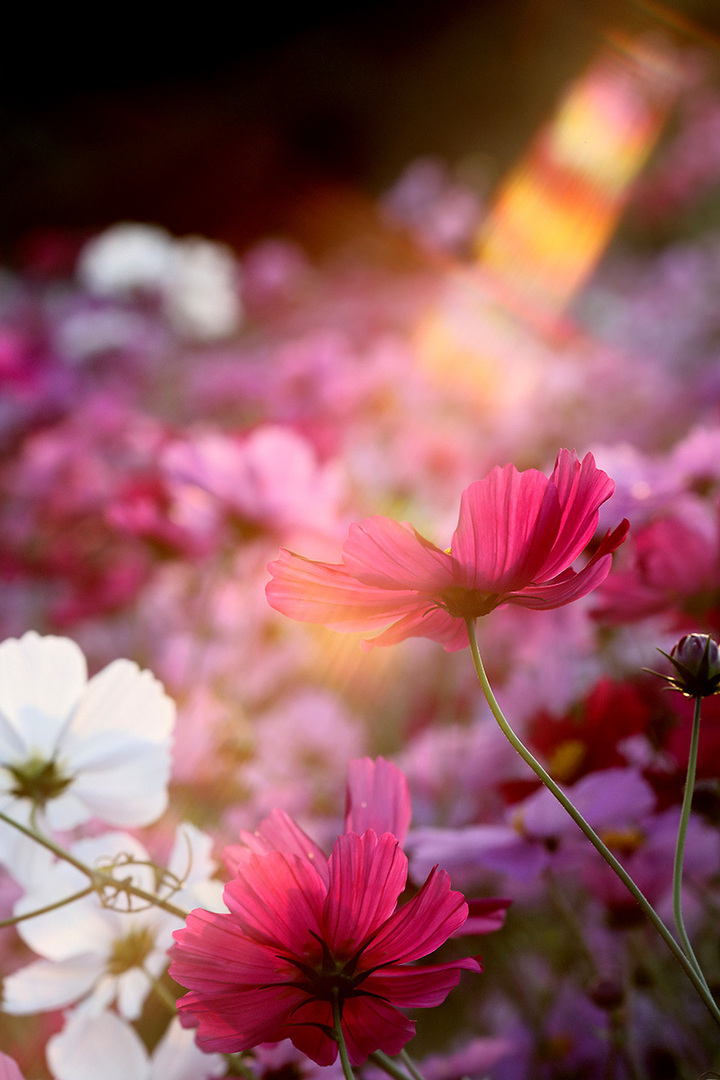 Thumb a75f1de2 40a8 492f b582 22bc458ad952