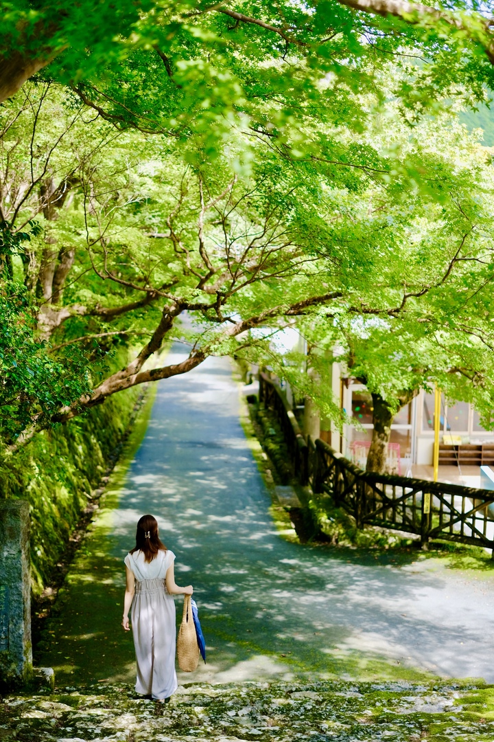 Thumb 1a71b496 e09a 41fe 8313 b4ee82f8a072